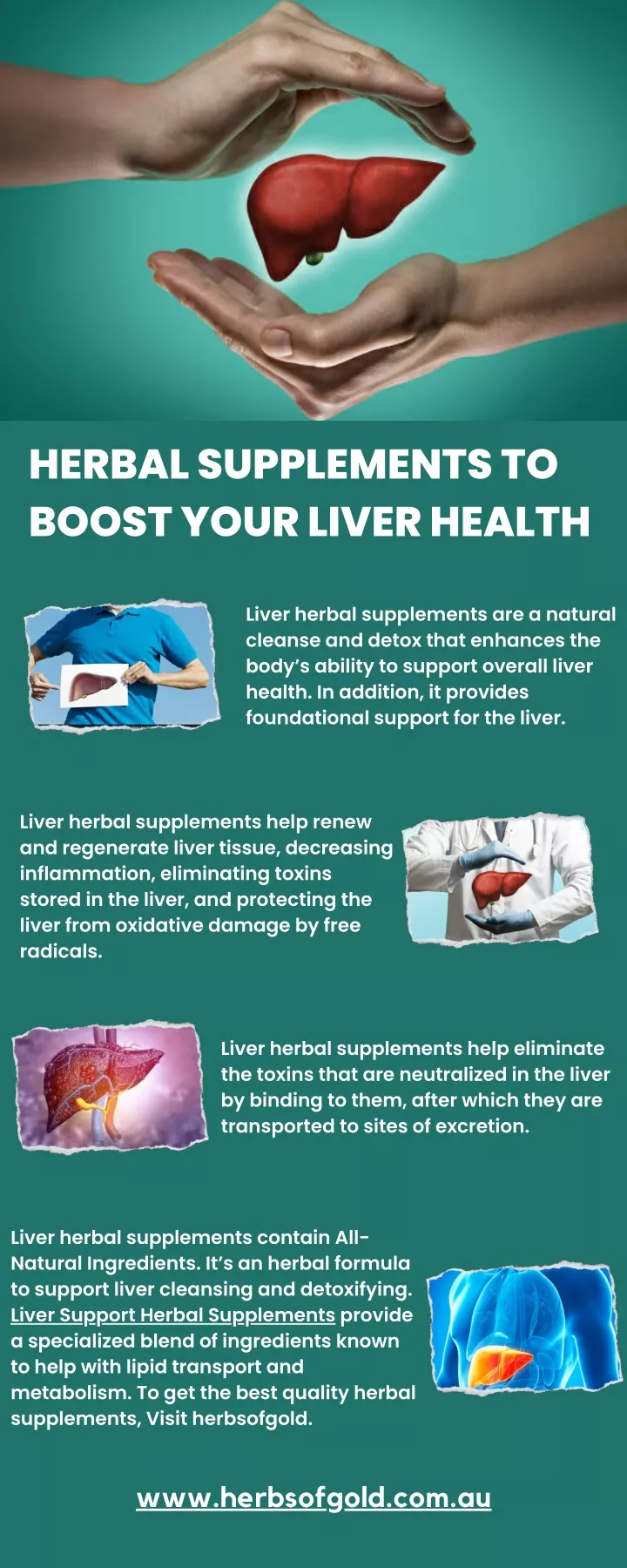 PPT - HERBAL SUPPLEMENTS TO BOOST YOUR LIVER HEALTH PowerPoint ...