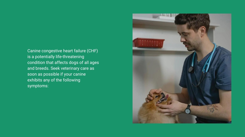 PPT - Warning Signs Of Canine Congestive Heart Failure PowerPoint ...