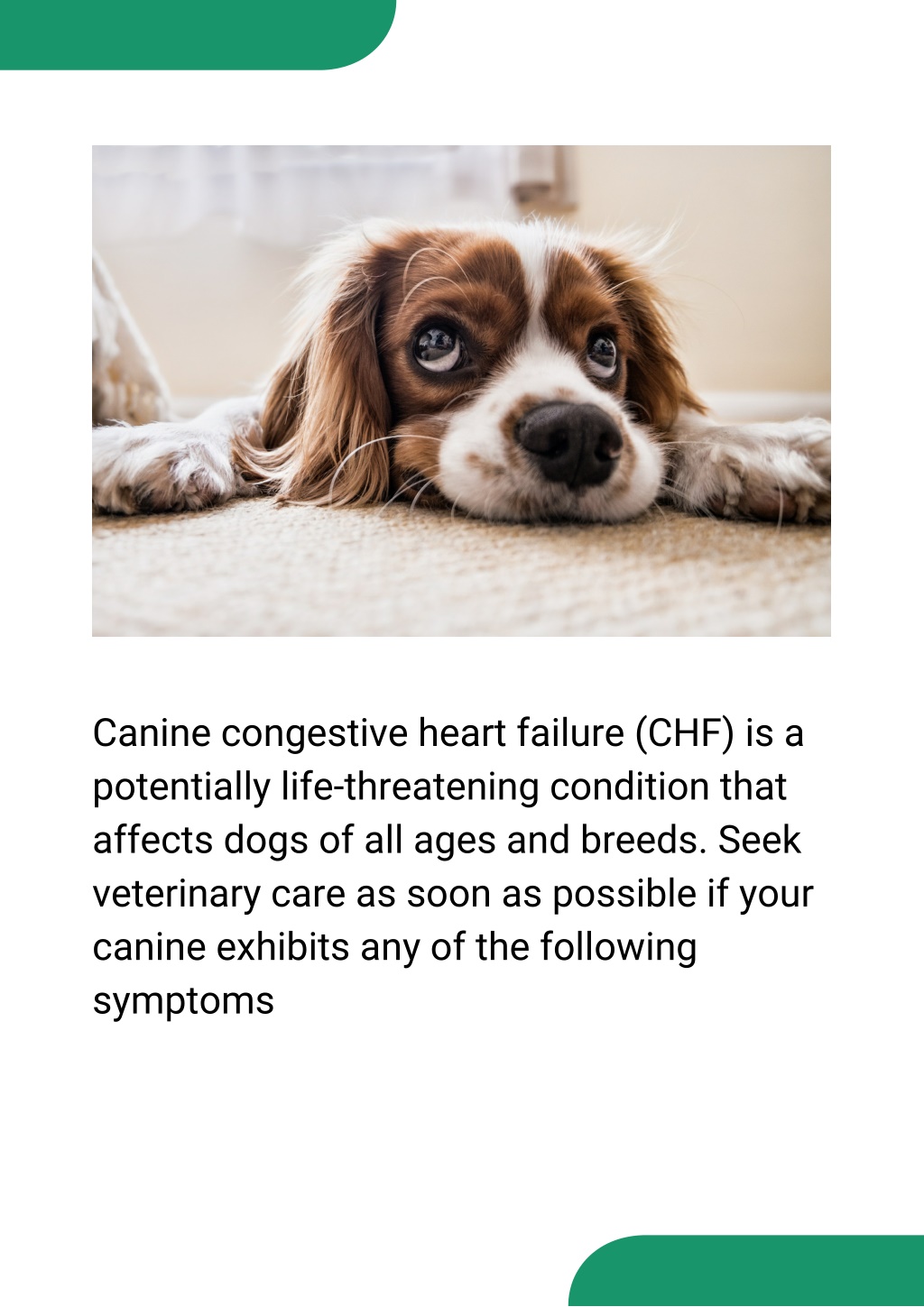 PPT - Warning Signs Of Canine Congestive Heart Failure PowerPoint ...