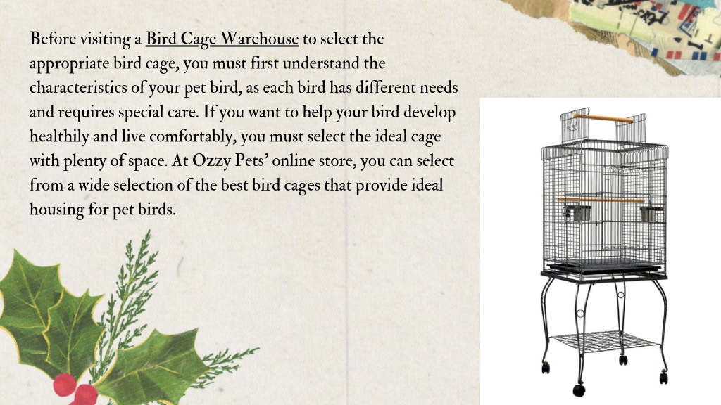 PPT Bird Cage Warehouse PowerPoint Presentation, free download ID
