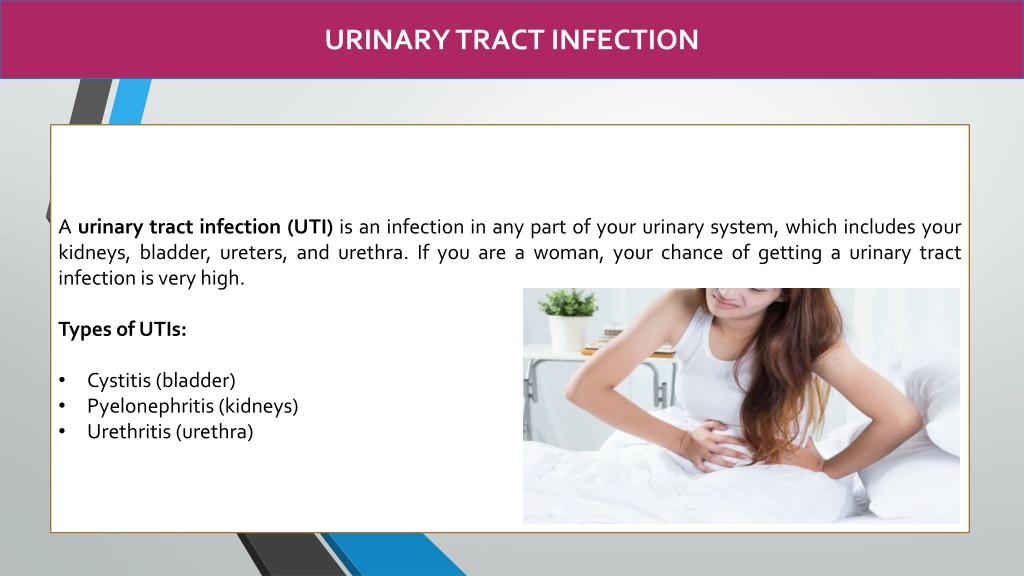 PPT Reasons Why Women are More Prone to UTI than Men PowerPoint