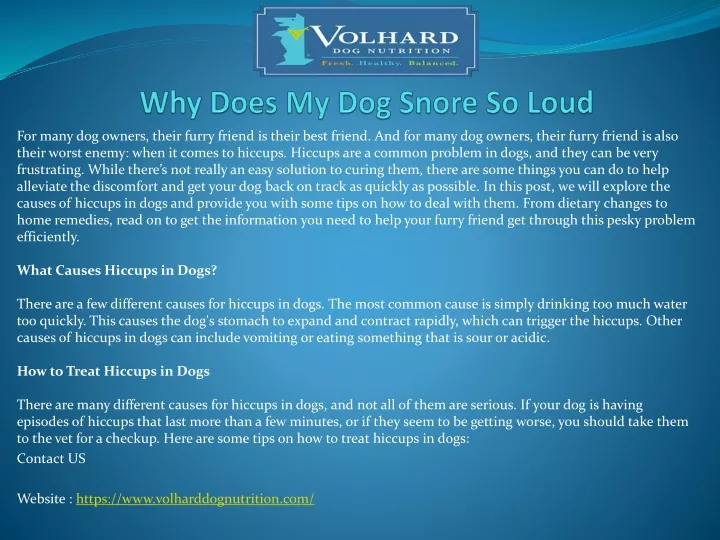 ppt-why-does-my-dog-snore-so-loud-powerpoint-presentation-free