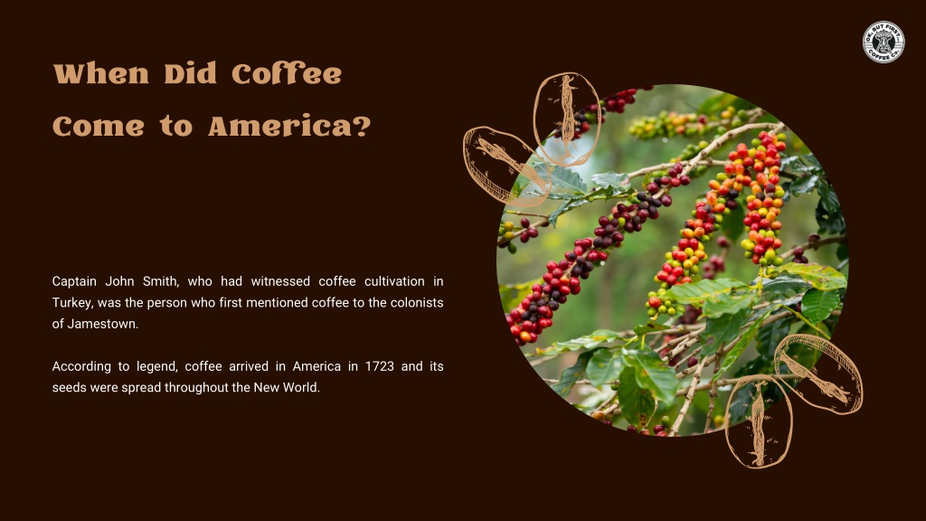 PPT An Introduction To Arabica Coffee Beans From The US PowerPoint