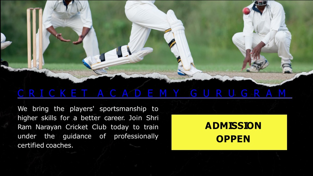 PPT - Cricket Academy Gurugram PowerPoint Presentation, free download ...