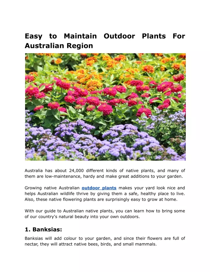 PPT Easy to Maintain Outdoor Plants For Australian Region PowerPoint Presentation ID11847130