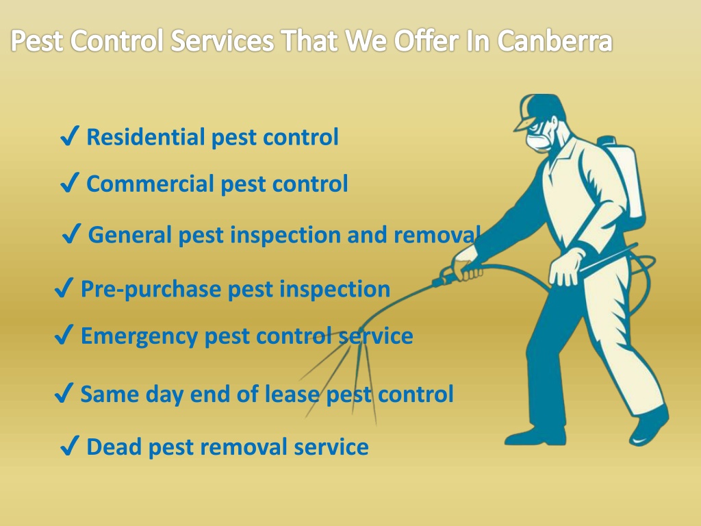 Ppt Pest Control 4 Canberra Powerpoint Presentation Free Download