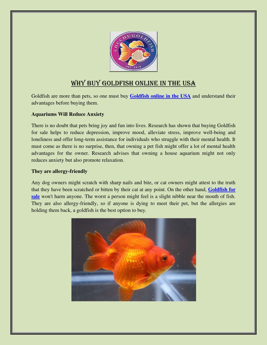 PPT Why buy Goldfish online in the USA PowerPoint Presentation free PPT Why buy Goldfish online in the USA PowerPoint Presentation free