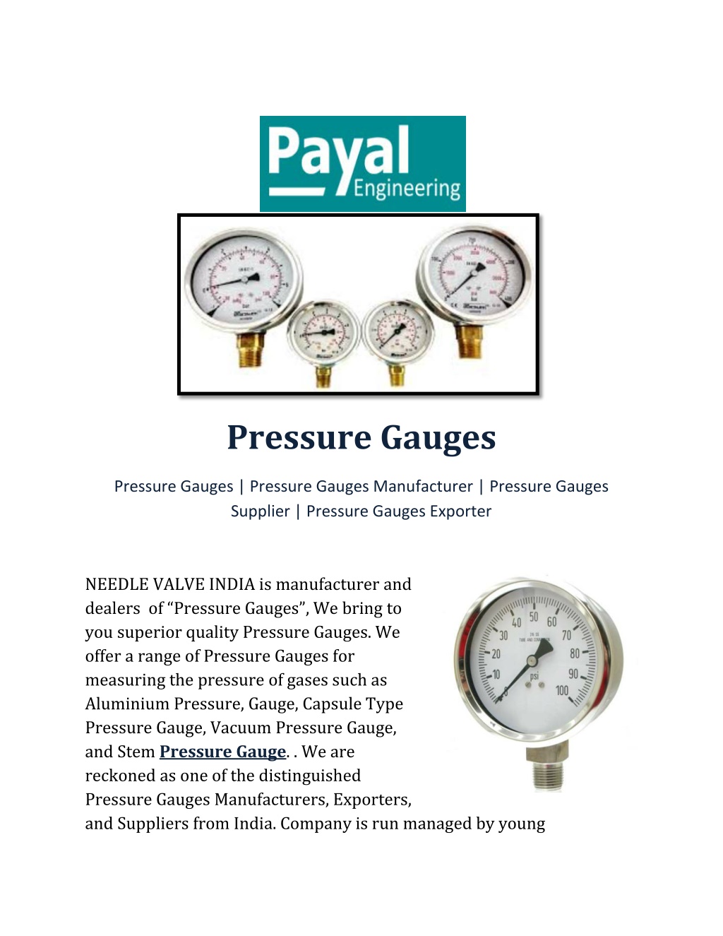 PPT - Pressure Gauges Payal PowerPoint Presentation, Free Download - ID ...