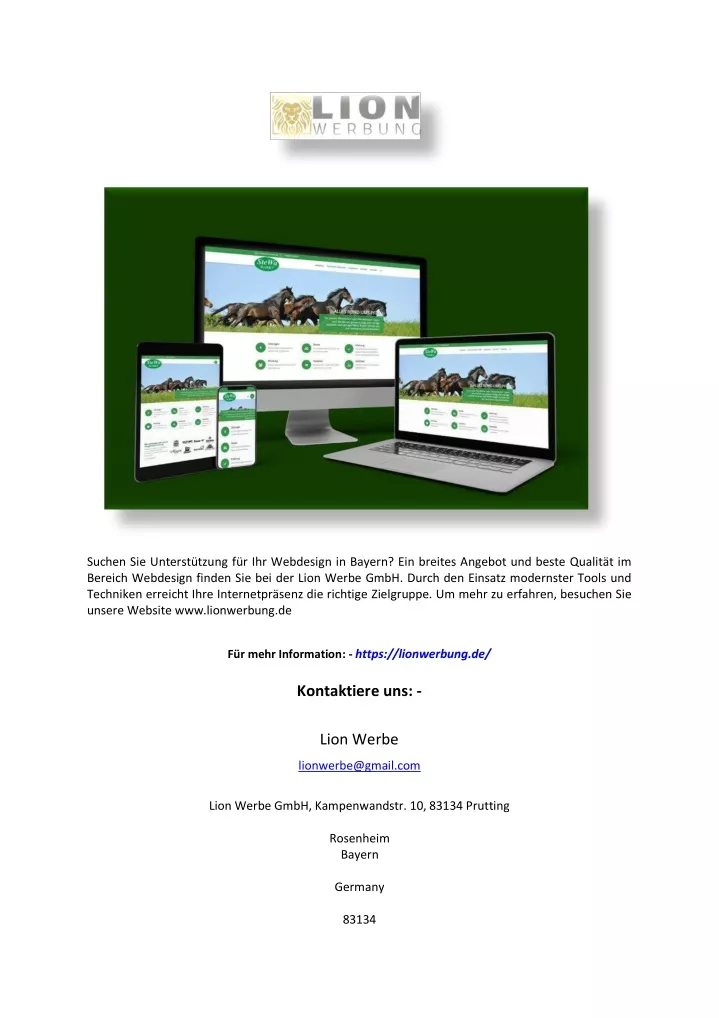 PPT - Webdesign Bayern | Lionwerbung.de PowerPoint Presentation, Free ...