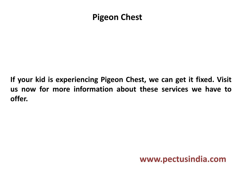 PPT Pigeon Chest PowerPoint Presentation, free download ID11857908