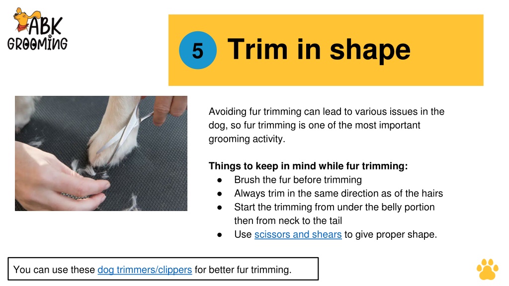 Image showcasing Trim Your Dog's Nails Safely: Tips, Tricks, and Grooming Techniques
