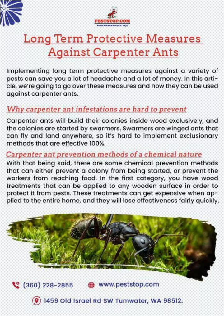 PPT Centralia Pest Control Lakewood Pest Control PowerPoint