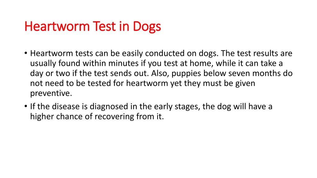 Ppt - Things To Know About Canine Heartworm Disease Powerpoint 