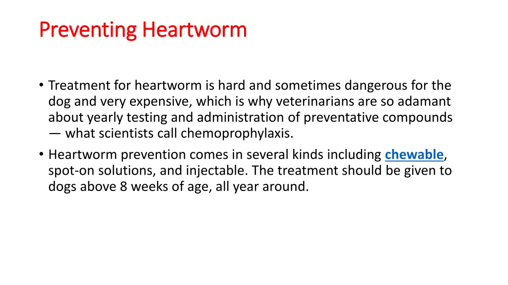 PPT - Things to Know About Canine Heartworm Disease PowerPoint ...