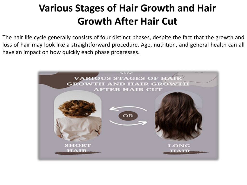 PPT Developmental Stages of PostCut Hair Growth PowerPoint