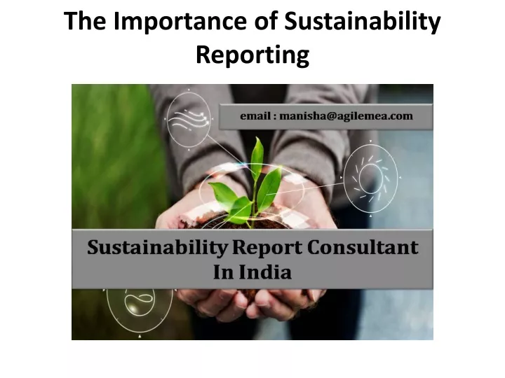 ppt-the-importance-of-sustainability-reporting-powerpoint