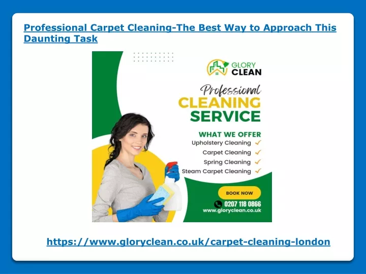 professional carpet cleaning the best n.