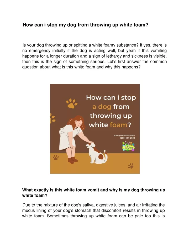 ppt-how-can-i-stop-my-dog-from-throwing-up-white-foam-powerpoint