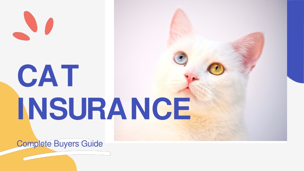 PPT - Cat Insurance PowerPoint Presentation, free download - ID:11885039