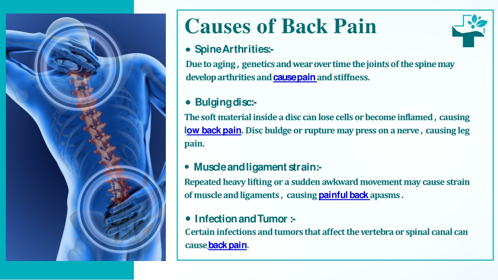 PPT - Effective Back Pain Treatment in Troy PowerPoint Presentation ...