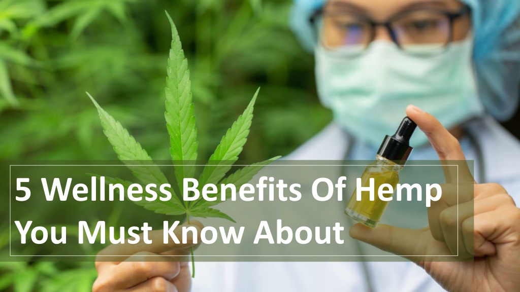 Ppt 5 Wellness Benefits Of Hemp You Must Know About Powerpoint