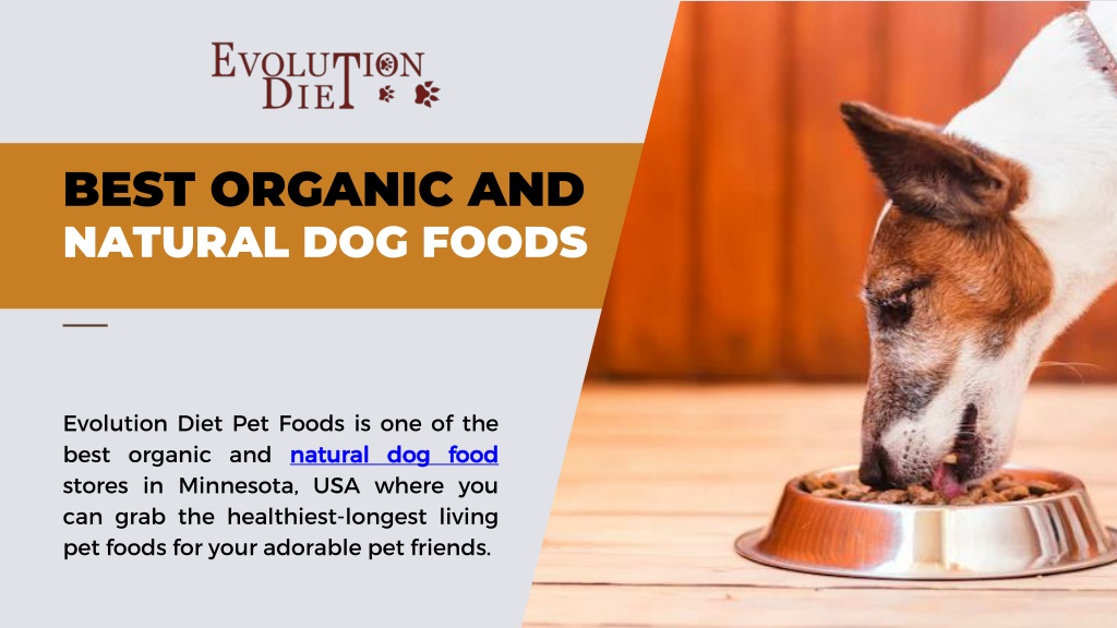 PPT Best Organic and Natural Dog Foods PowerPoint Presentation, free