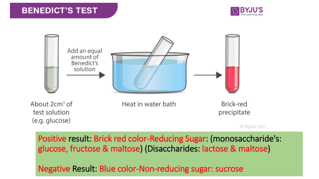 PPT - Carbohydrate Tests PowerPoint Presentation, free download - ID ...