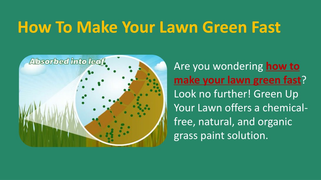PPT - Say Goodbye To Brown Grass And Hello To A Lush Lawn PowerPoint ...
