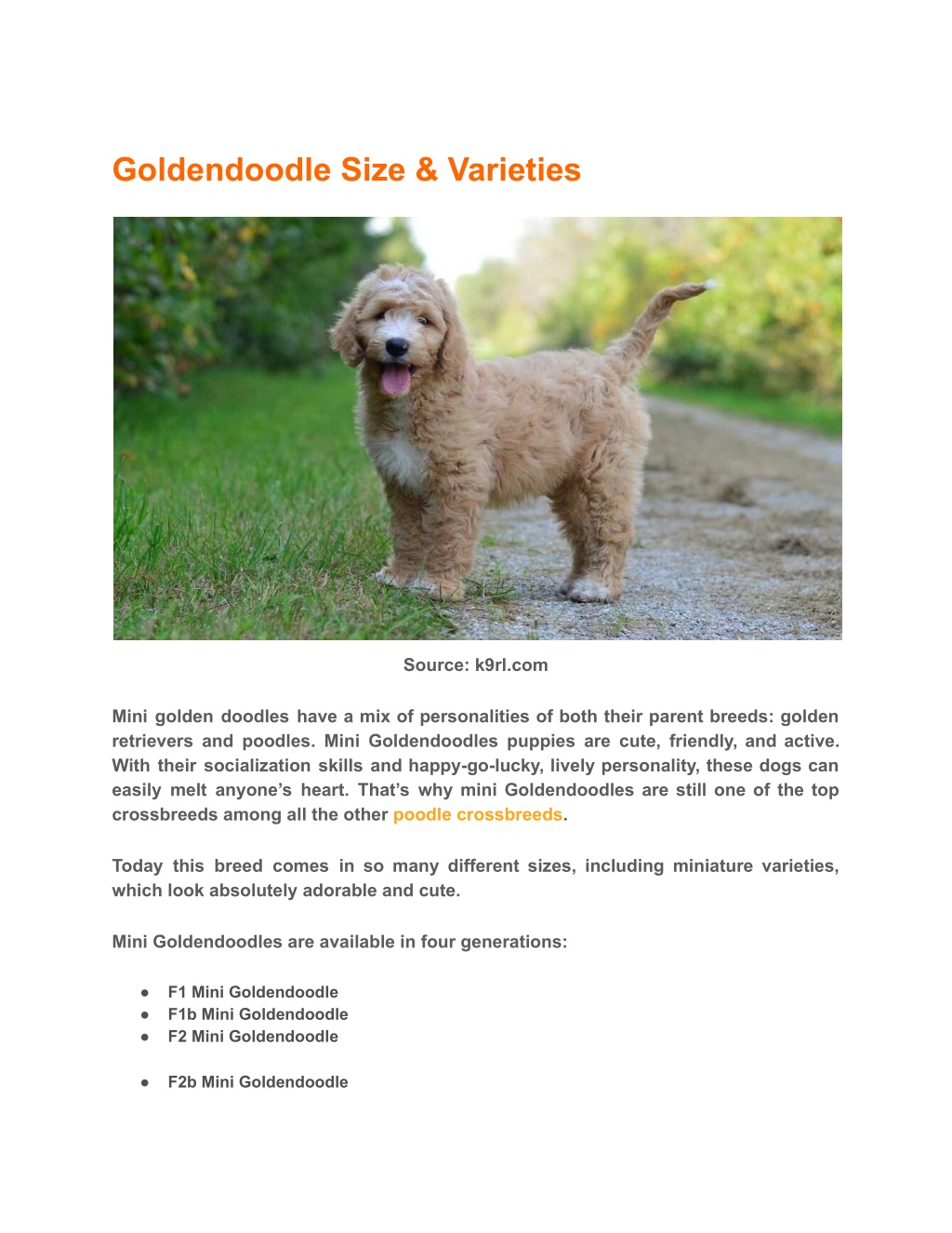 PPT - Full Grown Mini Goldendoodle: How Big Do Goldendoodles Get ...