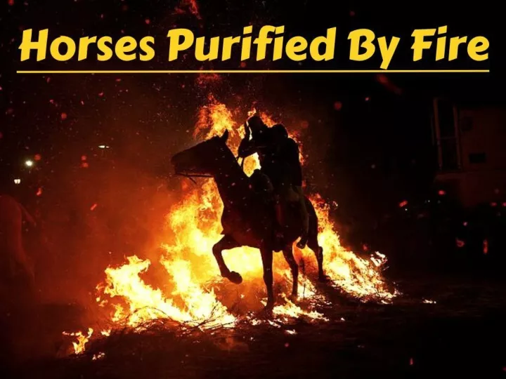 horses purified by fire n.