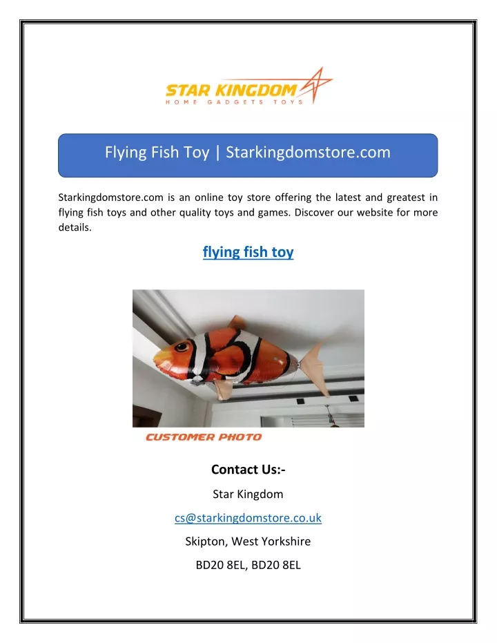 PPT Flying Fish Toy PowerPoint Presentation