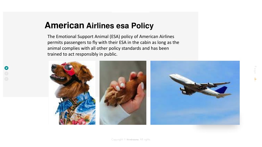 PPT introducing American Airlines Pet Policy PowerPoint Presentation
