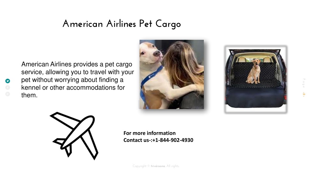 PPT introducing American Airlines Pet Policy PowerPoint Presentation