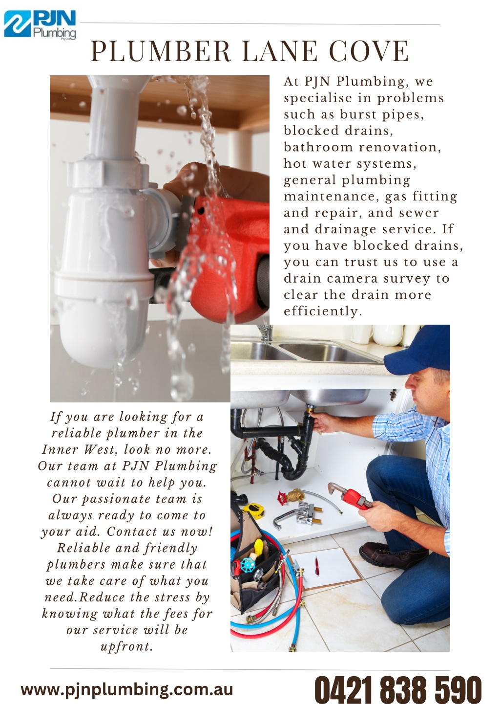 PPT Plumber Lane Cove PowerPoint Presentation, free download ID11936996