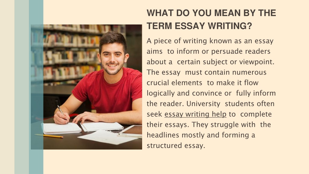 what is mean by essay writing