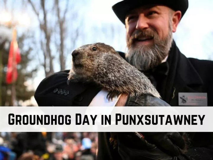 groundhog day in punxsutawney n.