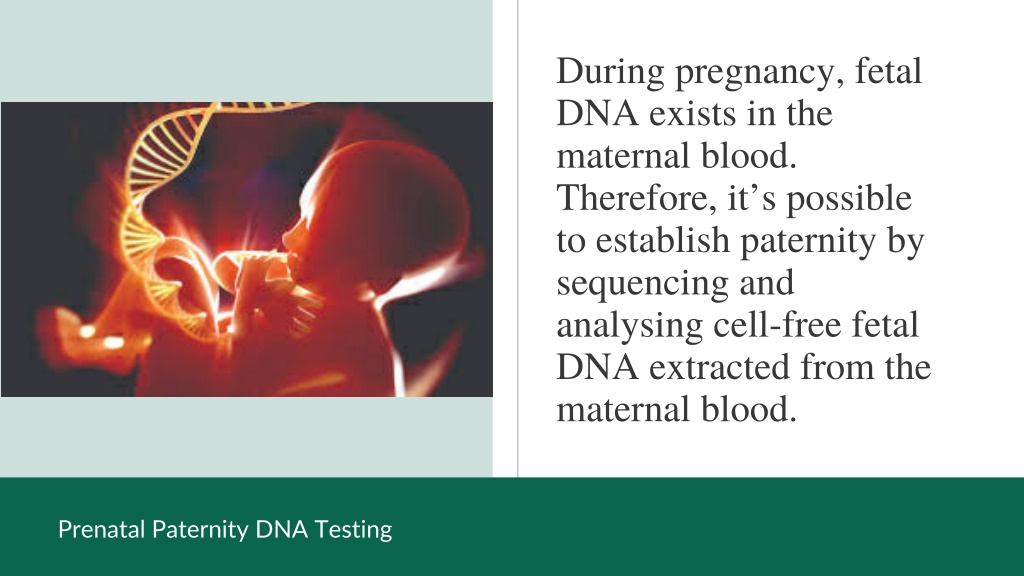 Ppt Paternity Tests While Pregnant Florida Dna Testing Powerpoint