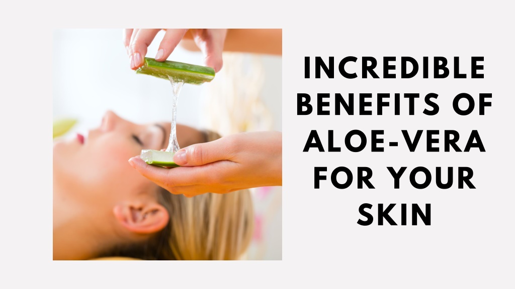 Ppt Incredible Benefits Of Aloe Vera For Your Skin Powerpoint Presentation Id11958284 2314