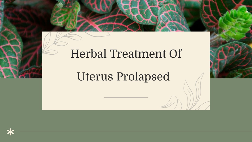 Ppt Uterus Prolapse Treatment By Herbal Powerpoint Presentation Free