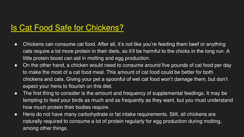 PPT Can Chickens Eat Dry Cat Food PowerPoint Presentation, free