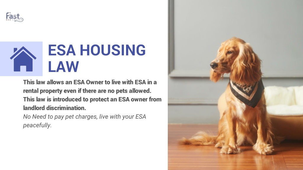 PPT Get to Know About ESA Laws in Florida PowerPoint Presentation