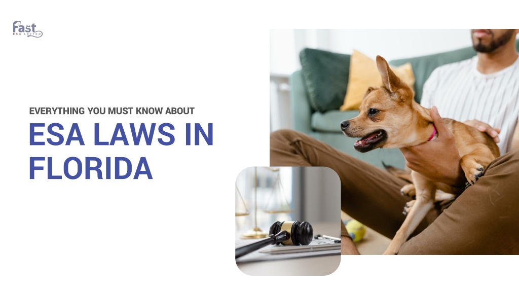 PPT Get to Know About ESA Laws in Florida PowerPoint Presentation