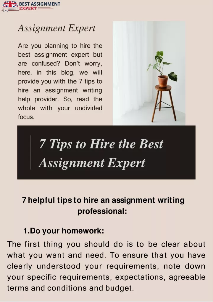 top assignment expert