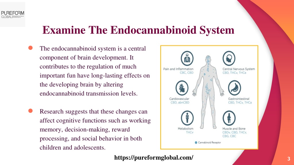 PPT - How Do Cannabinoids Impact A Developing Brain - Pure Form Global ...