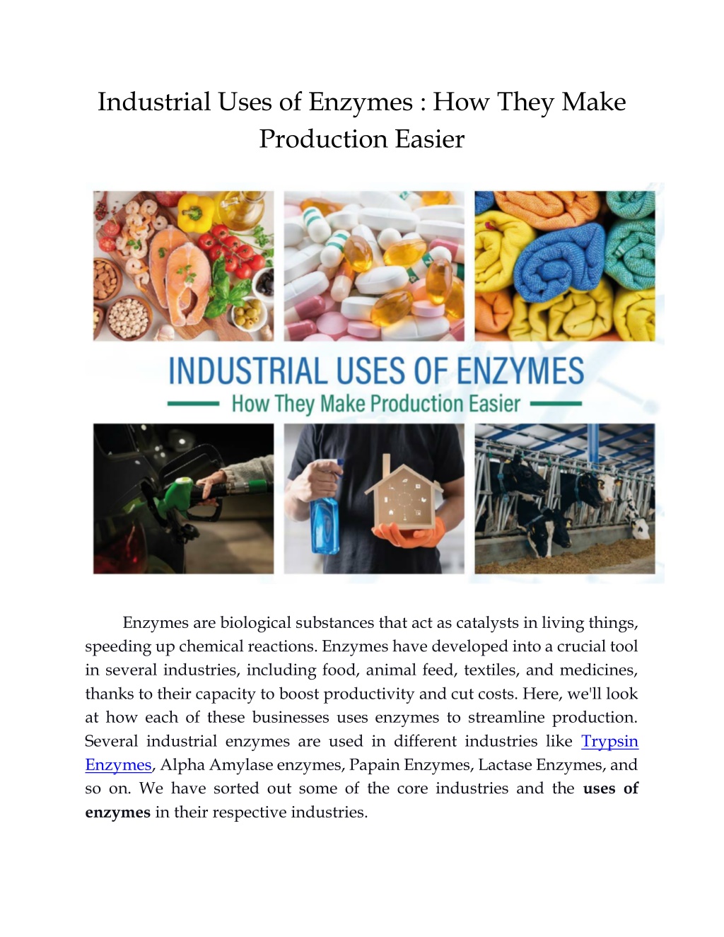 uses of enzymes presentation