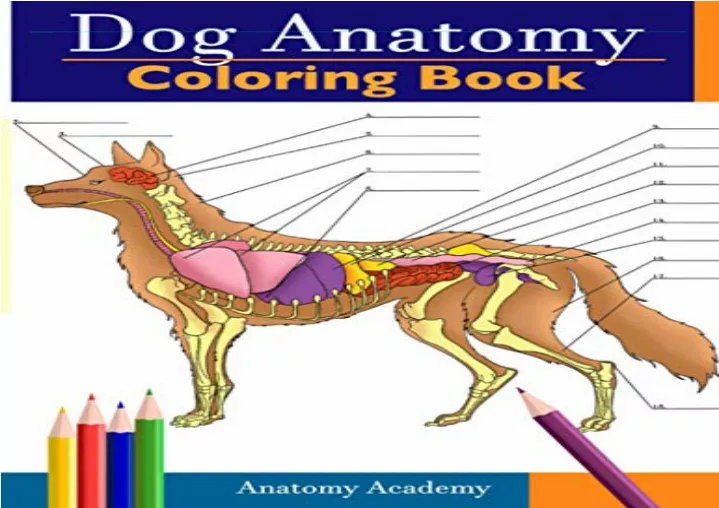 PPT - PDF Dog Anatomy Coloring Book: Incredibly Detailed Self-Test