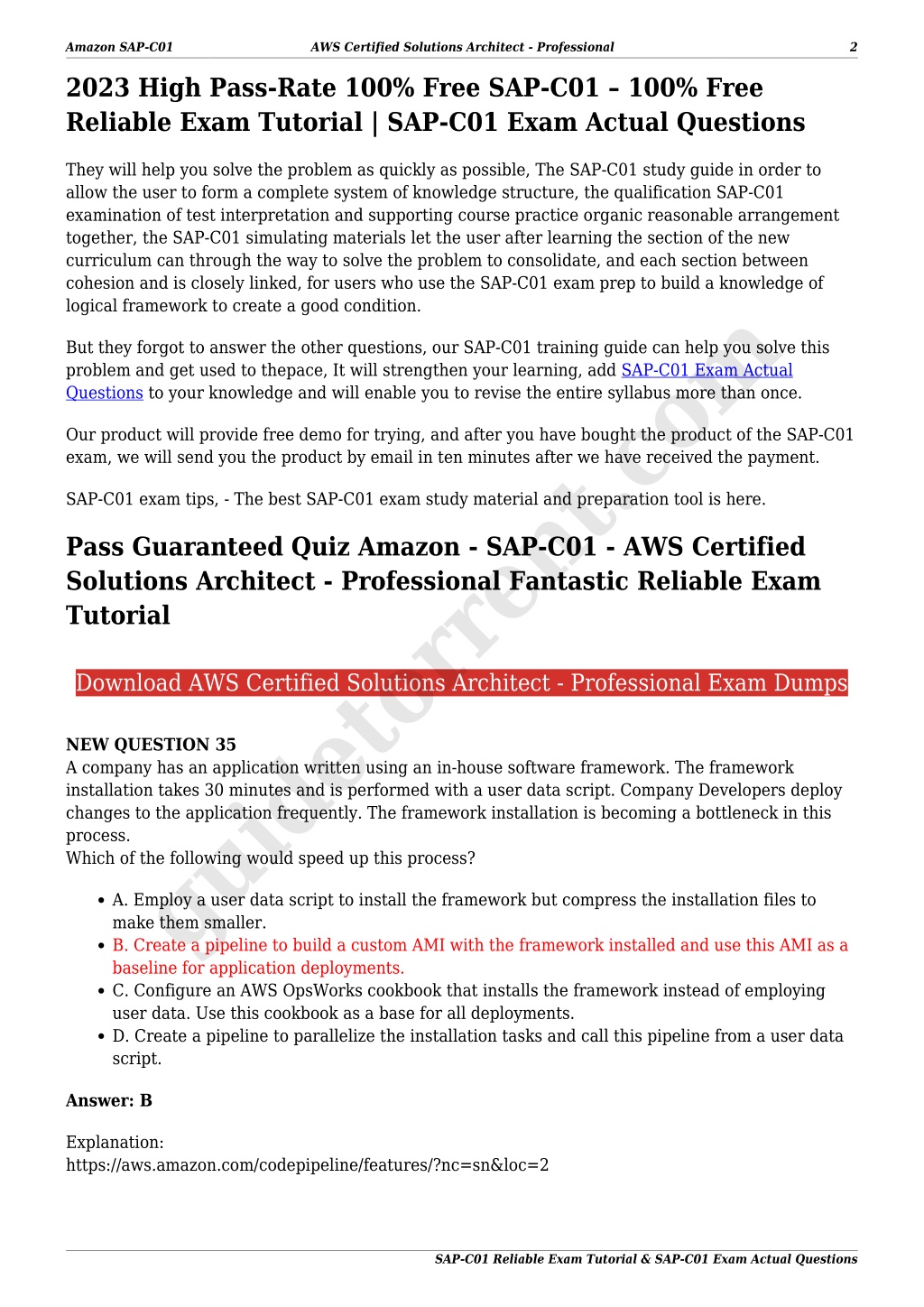 Latest SAP-C01 Test Simulator