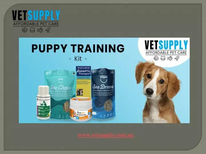 PPT Dog Training Supply Dog Training Leash Dog Training Products
