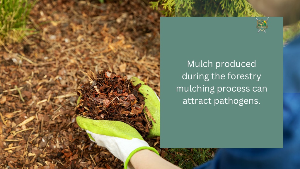 Ppt The Advantages And Disadvantages Of Using Forestry Mulching For