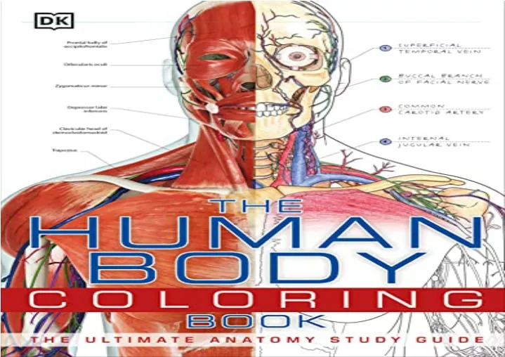 PPT [DOWNLOAD PDF] The Human Body Coloring Book The Ultimate Anatomy